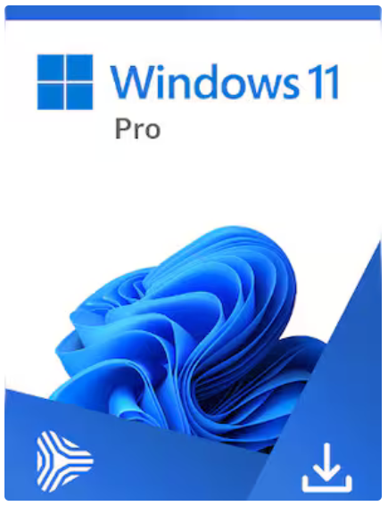 Microsoft Windows 11 Pro (PC)